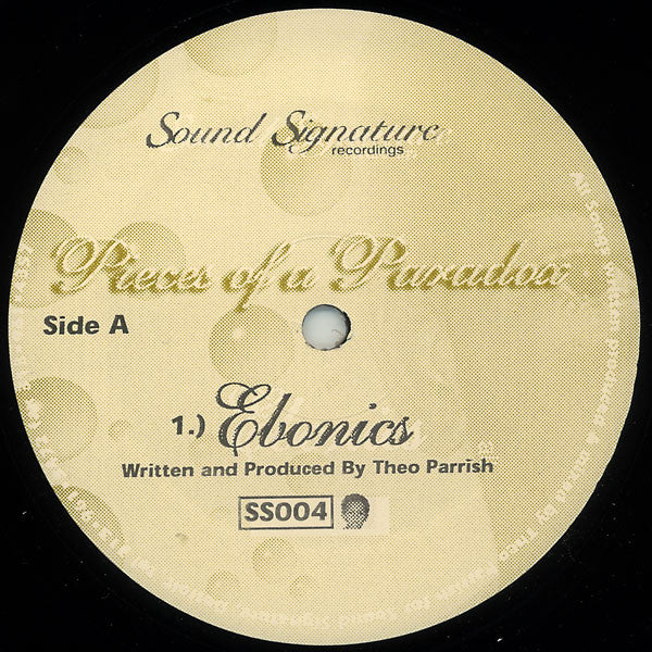 Theo Parrish 'Pieces of a Paradox' 12" (Repress)