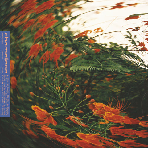 ANTHONY NAPLES 'CHAMELEON LP' 12"