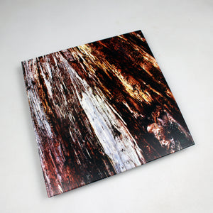 PUGILIST & ANOTHER CHANNEL 'FIGHT AUTHORITY / SEEK TRUTH' 10"
