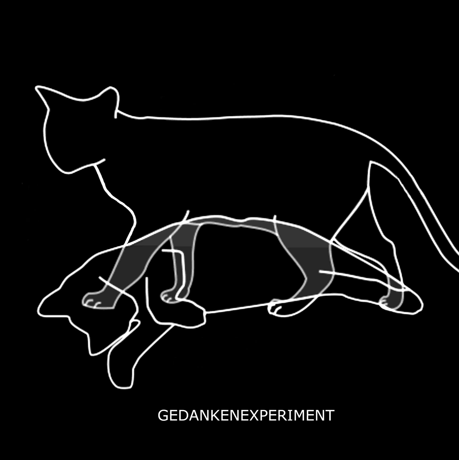 GEDANKENEXPERIMENT 'EXPERIMENT DEFINED' 12" (REISSUE)