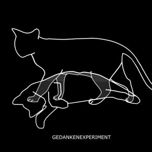 GEDANKENEXPERIMENT 'EXPERIMENT DEFINED' 12" (REISSUE)