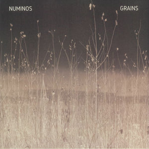 NUMINOS 'GRAINS LP' 12"