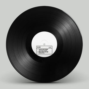 DJ LEVI 'MAJESTIC INTELLIGENCE / NEMA, CHILD.. (REMIXES)' 12"