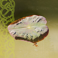 Biodive 'Limpets Minds w/ Priori Remix' 12"