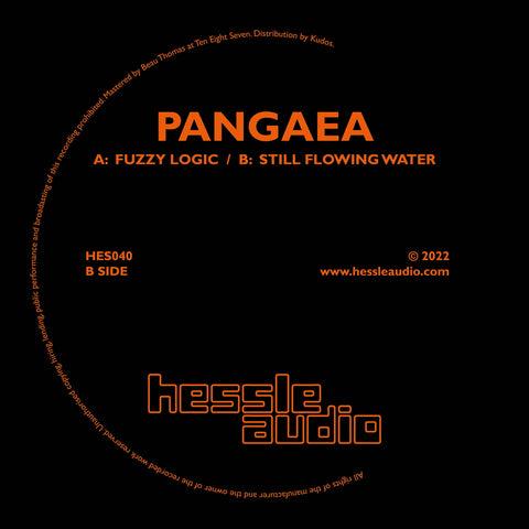 PANGAEA 'FUZZY LOGIC / STILL FLOWING WATER' 12"