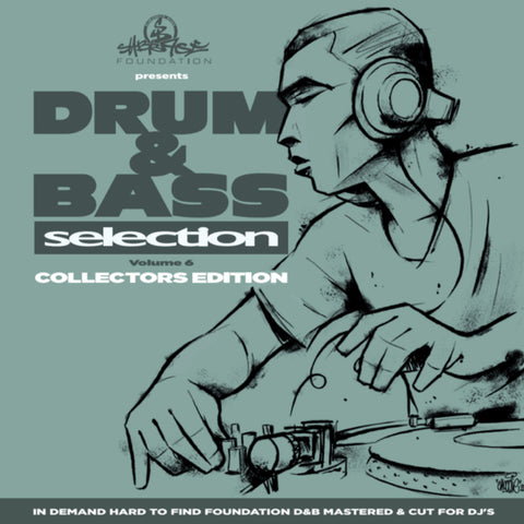 VARIOUS ARTISTS 'DRUM & BASS SELECTION VOL. 6' 2x12"