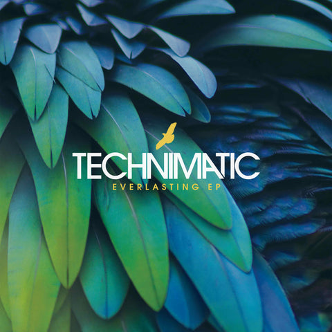 TECHNIMATIC 'EVERLASTING EP' 12"