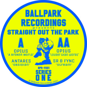 VARIOUS 'STRAIGHT OUT THE PARK' 12"