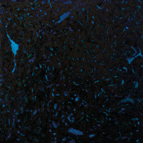 Zenker Brothers 'Immersion' 2LP