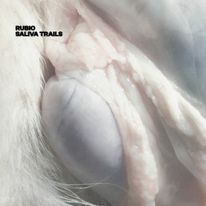 Rubio 'Saliva Trails' 12"