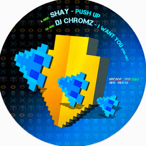 SHAY & DJ CHROMZ 'PUSH UP / I WANT YOU (FEEL MIX)' 12"