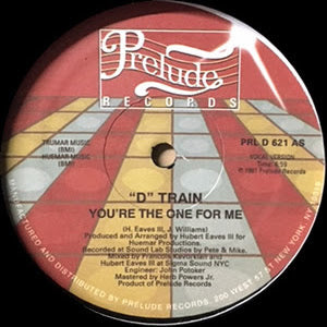 D TRAIN 'YOU'RE THE ONE FOR ME' 12"