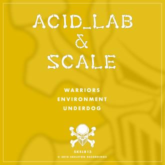 Acid Lab & Scale 'SKELR13' 12"